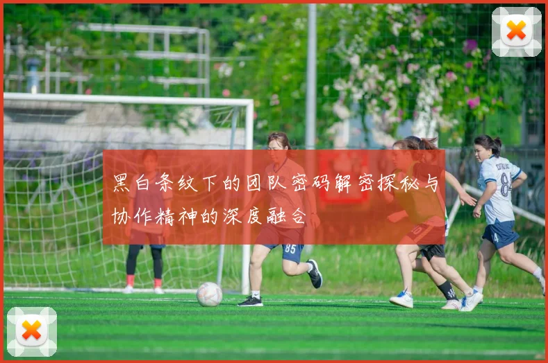 黑白条纹下的团队密码解密探秘与协作精神的深度融合